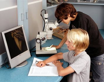 Santa Monica Pier Aquarium S. Mark Taper Kids Microscope